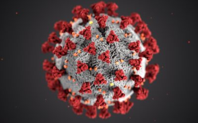 La Red EAMI celebra un encuentro extraordinario de seguimiento con los 22 países iberoamericanos para compartir información actualizada sobre las vacunas contra la COVID-19 en la región