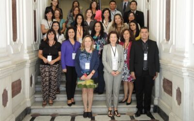 Formulario Iberoamericano: Normalización de actividades relacionadas con las preparaciones magistrales y oficinales elaboradas en farmacias y servicios de farmacia hospitalarios
